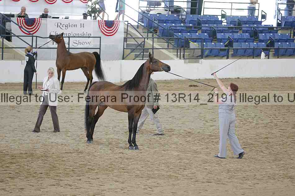 Proof 13r14_2191