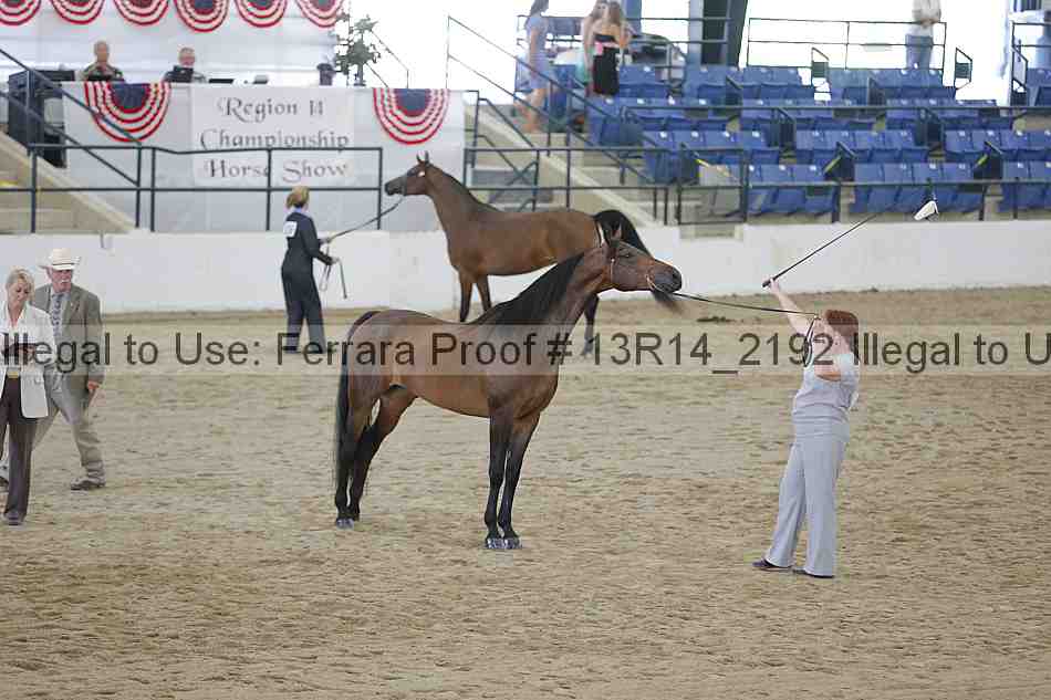 Proof 13r14_2192