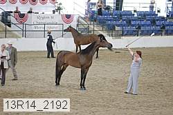 13r14_2192 proof