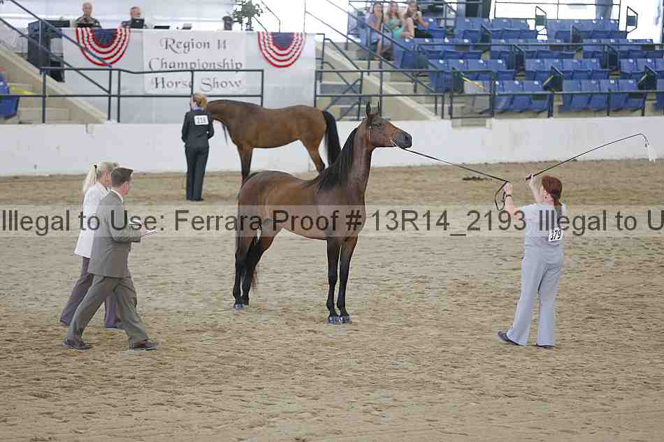 Proof 13r14_2193
