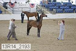 13r14_2193 proof