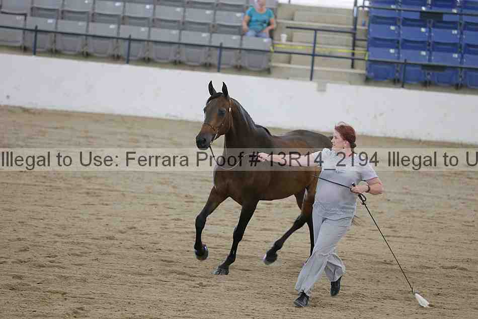 Proof 13r14_2194
