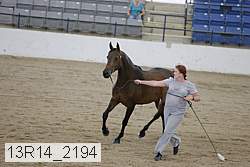 13r14_2194 proof