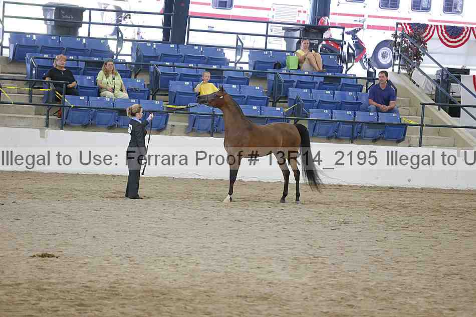 Proof 13r14_2195