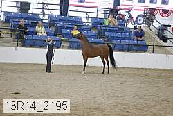 13r14_2195 proof