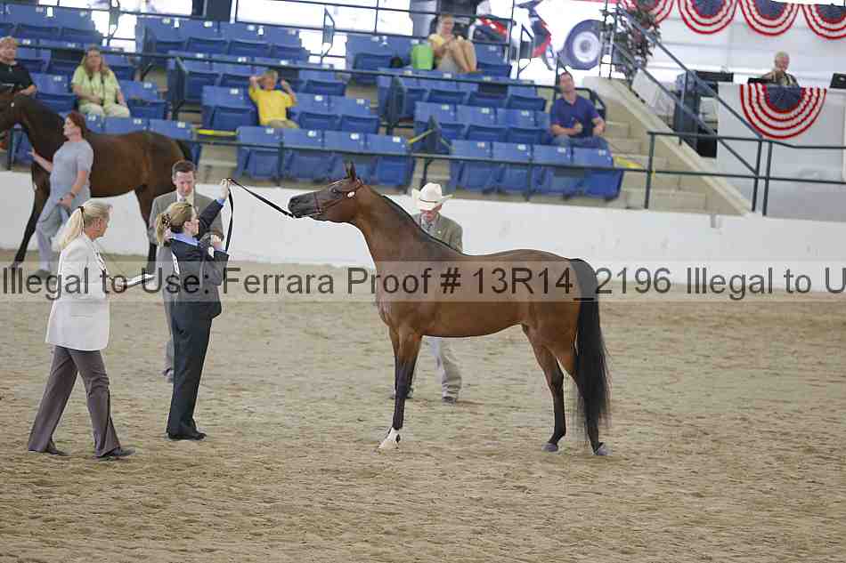 Proof 13r14_2196