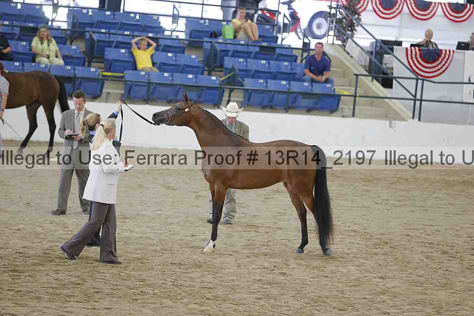 Proof 13r14_2197