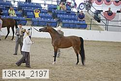 13r14_2197 proof