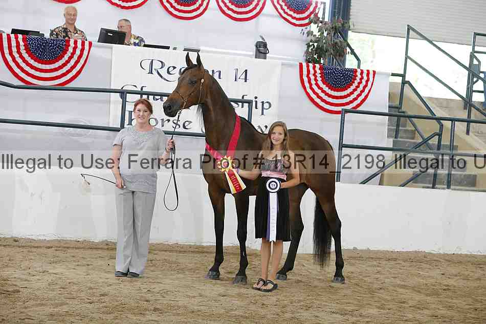 Proof 13r14_2198