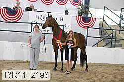 13r14_2198 proof