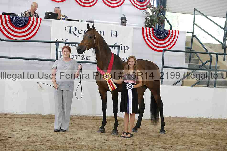 Proof 13r14_2199