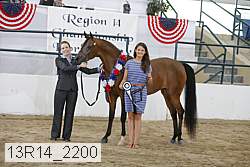 13r14_2200 proof