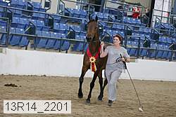 13r14_2201 proof