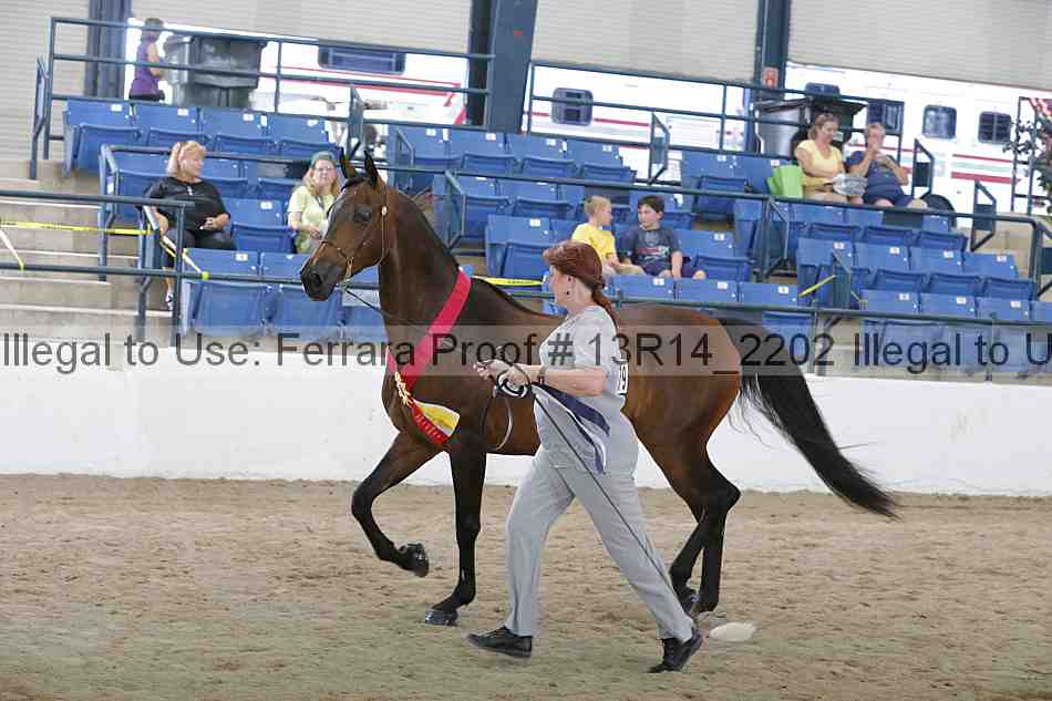 Proof 13r14_2202
