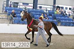 13r14_2202 proof