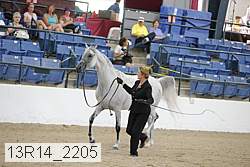 13r14_2205 proof