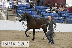 13r14_2207 proof