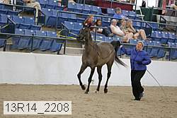 13r14_2208 proof