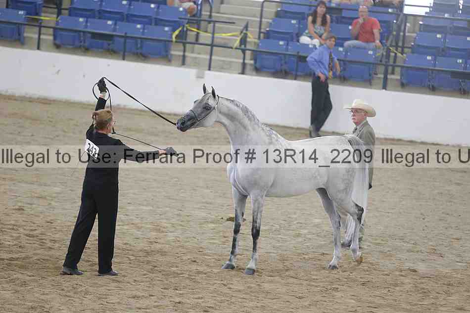Proof 13r14_2209