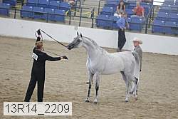 13r14_2209 proof