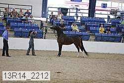 13r14_2212 proof