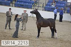 13r14_2213 proof