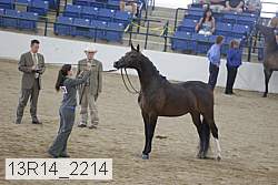 13r14_2214 proof