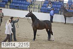 13r14_2215 proof