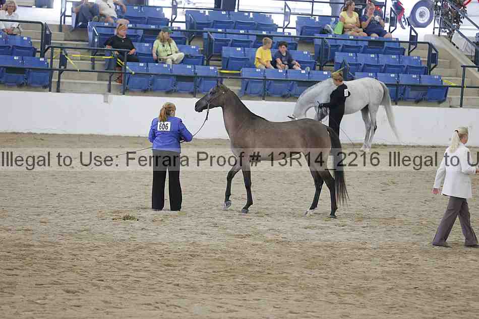 Proof 13r14_2216