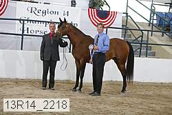 13r14_2218 proof