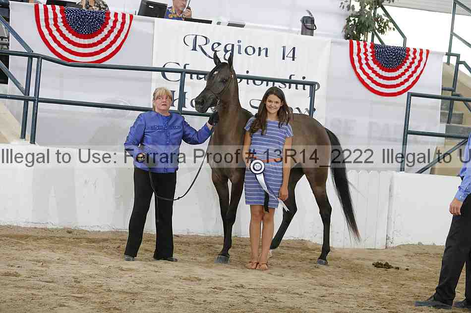 Proof 13r14_2222