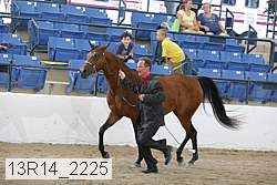 13r14_2225 proof