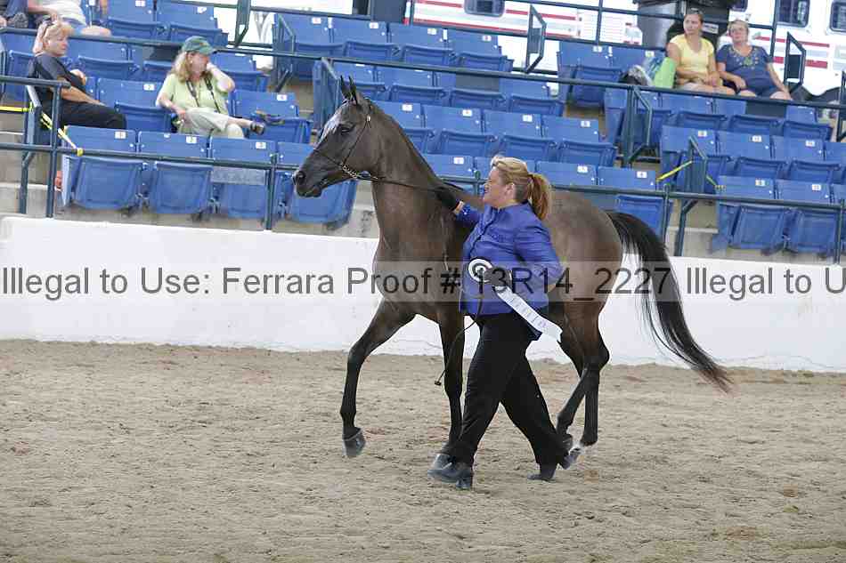 Proof 13r14_2227