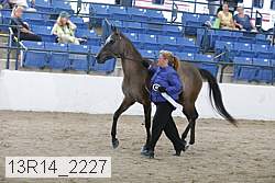 13r14_2227 proof