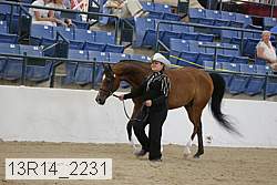 13r14_2231 proof