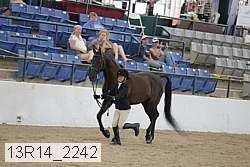 13r14_2242 proof