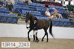 13r14_2243 proof