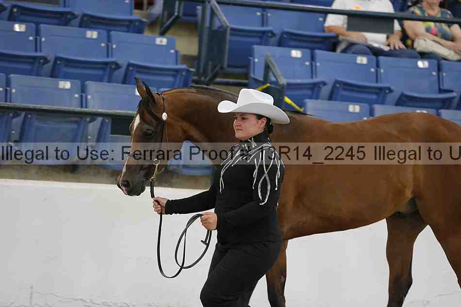 Proof 13r14_2245