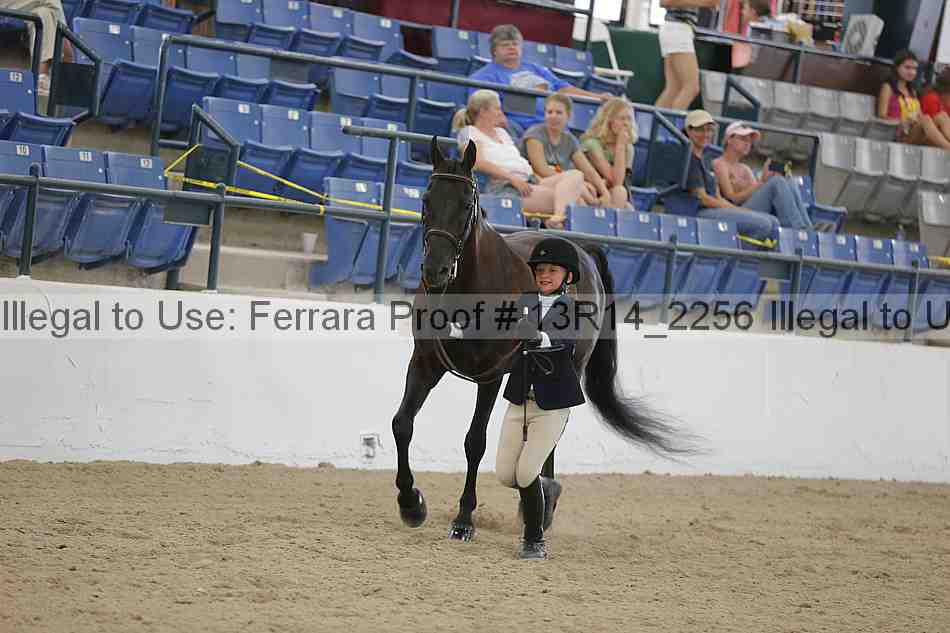 Proof 13r14_2256