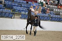 13r14_2256 proof