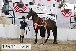 13r14_2264 proof