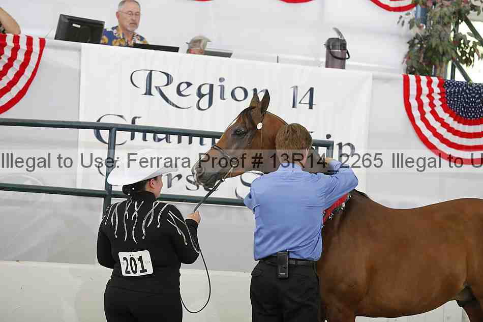 Proof 13r14_2265