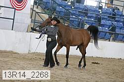 13r14_2268 proof