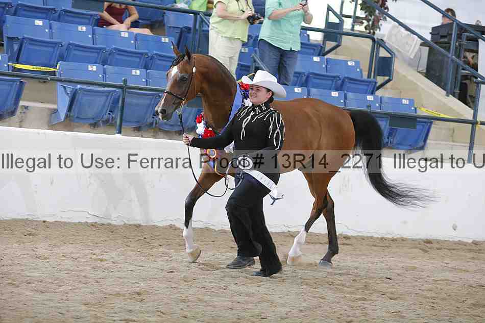 Proof 13r14_2271