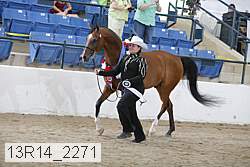 13r14_2271 proof