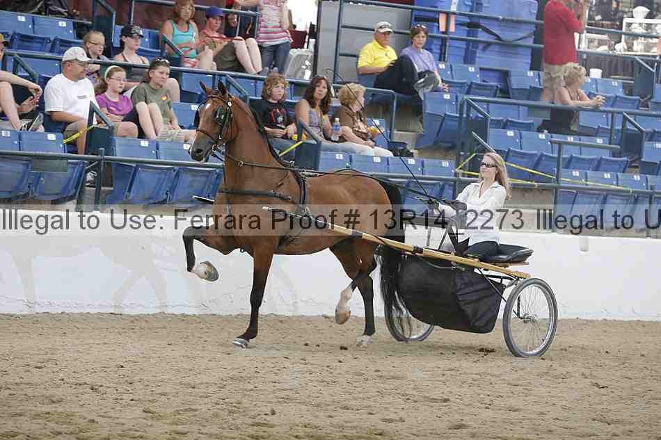 Proof 13r14_2273