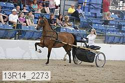 13r14_2273 proof