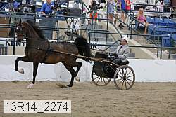 13r14_2274 proof
