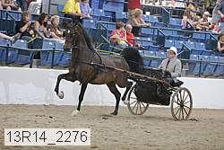 13r14_2276 proof