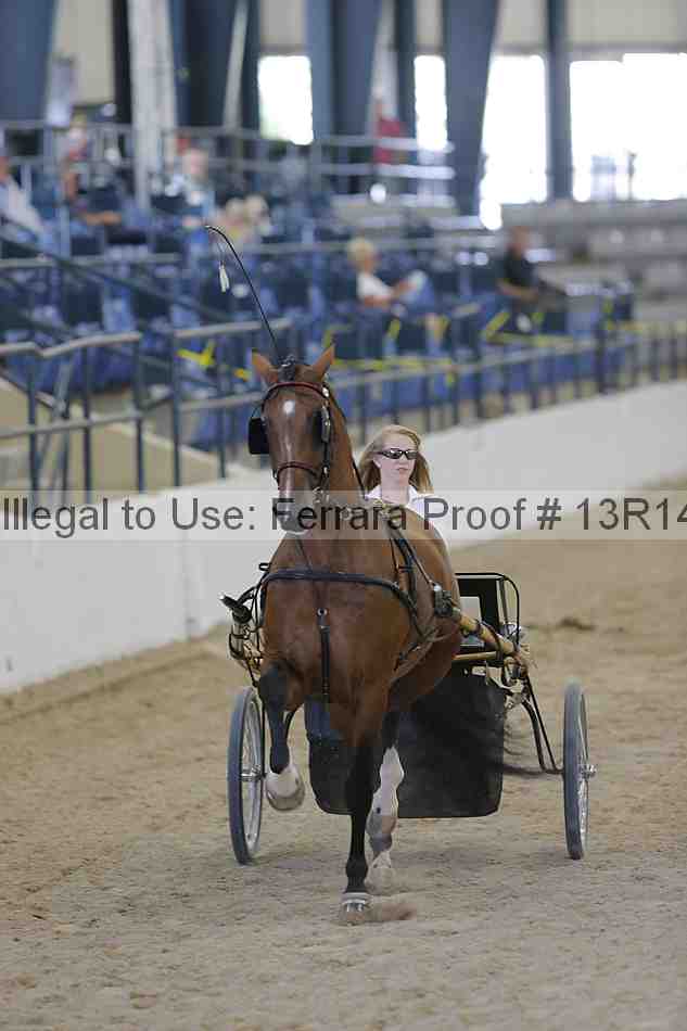Proof 13r14_2277